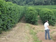 37127_159489354078780_3069507_n